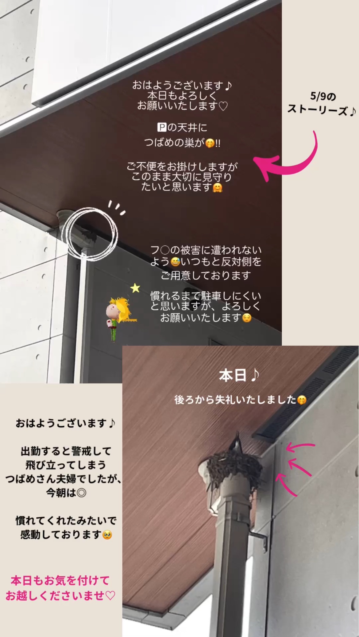 ~サロンの駐車場に巣を作ったツバメさん夫婦~
